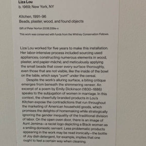 Lisa Lou, ID plaque at Whitney Museum, NY, NY